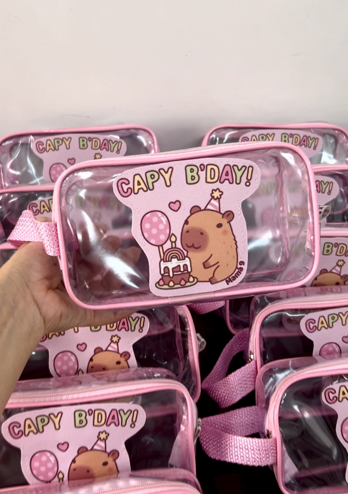 Cris transparente aplicação 19X11X06